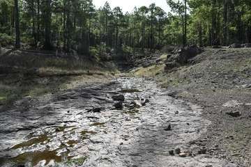 De ruta por el macizo de Tamadaba/Antonio Ali.